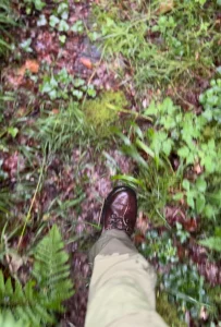 otoño en asturias: Los Oscos