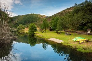 asturias con mascota